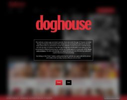Doghousedigital
